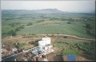 Campos aleda�os al ingenio